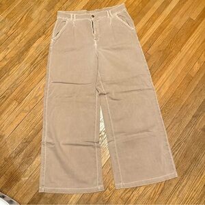 American Eagle Outfitters Beige Pants
